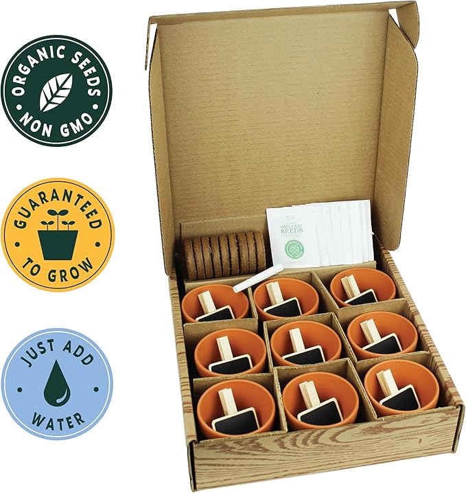 Buzzy Seeds Apothecary Garden Wellness Kit - Mini Terracotta Pot Grow Set - Complete Indoor/Outdoor Gardening Kit with Seeds, Coconut Husk Growing Medium & Genuine Pots - 100% Grow Guarantee