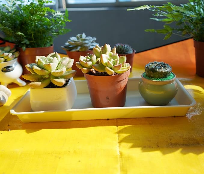 VUWEZ 2 Pack Plastic Plant Tray Saucer - Rectangular, 16 inch, Indoor/Outdoor, Drip Tray for Flower Pot, Windowsill (7.0 x 16.1'', Beige)