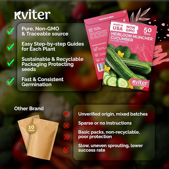 KVITER 50 Muncher Cucumber Seeds (Cucumis sativus) – Burpless & Seedless Cucumber, Non GMO & Heirloom Cucumbers – Vegetable Seeds for Planting Outdoors in Home Garden & Containers
