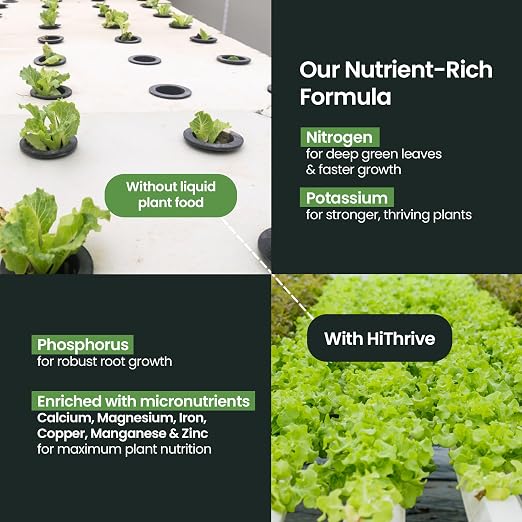 32oz Aeroponics & Hydroponics Liquid Plant Food - Up to 96 Feedings - Rich in Hydroponic Nutrients, Ideal Hydroponic Plant Food & Liquid Fertilizer for Indoor and Outdoor Hydroponics Growing Systems