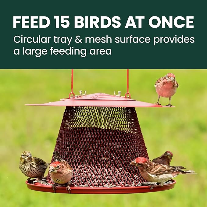 Perky-Pet Red Cardinal Wild Bird Feeder - 2.5 lb Seed Capacity, Holds Up to 15 Birds Simultaneously, Metal Hanging Feeder for Outdoors, Collapsible Mesh Design, Built-In Hook & Circular Tray, C00322