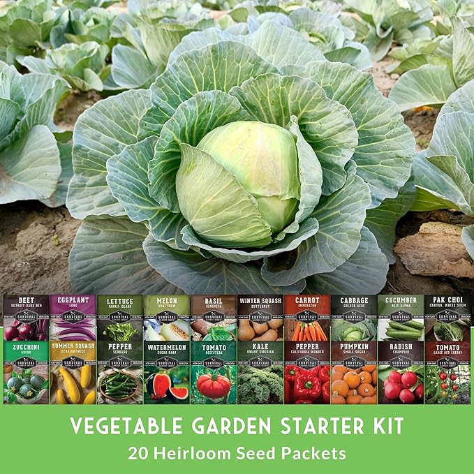 Vegetable Garden Starter Kit – 20 Variety Heirloom Non-GMO Seeds for Planting | Giftable Family Garden Kit for Beginner Victory Gardens – Start Growing Indoors or Outdoors – Survival Garden Seeds