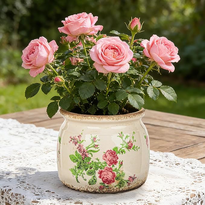 Sungmor Set of 2 Farmhouse Ceramic Planters with Drainage Hole,Vintage Crackle Glaze Flower Pots, Tuscan Decor Pots for Indoor/Outdoor Herbs,Succulents and Small Flowers