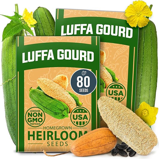 HOME GROWN Luffa Seeds 80+ Heirloom Non-GMO Loofah Gourd Seeds for Planting, High Germination, Natural Bath Sponges, Edible Vining Vegetable Garden, Harvest Young Gourd (Luffa aegyptiaca)