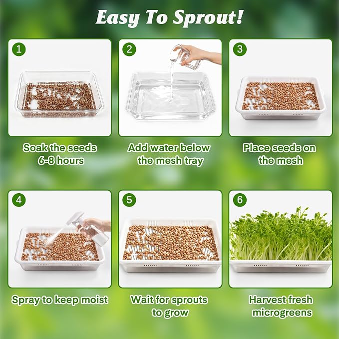 3 Pack Microgreens Growing Trays with Drain Holes, Acrylic Germination Trays with Silicone Mats and Spray Bottle, BPA Free Soil-Free Sprouting Kit for Indoor Outdoor Seed Sprouting, Wheatgrass & Beans