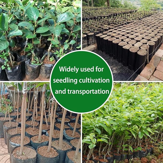 Belit 100 Pcs Deep Nursery Grow Bags, 11.5" H Plastic Pots for Starting Deep Rooted Plants Vegetable, Flower, Seedling Tree, Black