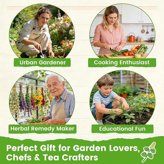 Herb Seeds 15-Pack – 4,500+ Heirloom Seeds for Planting – Indoor & Outdoor Herb Garden Kit with Basil, Cilantro, Rosemary, Thyme, Dill, Sage – Medicinal & Culinary Herb Seeds Variety Pack