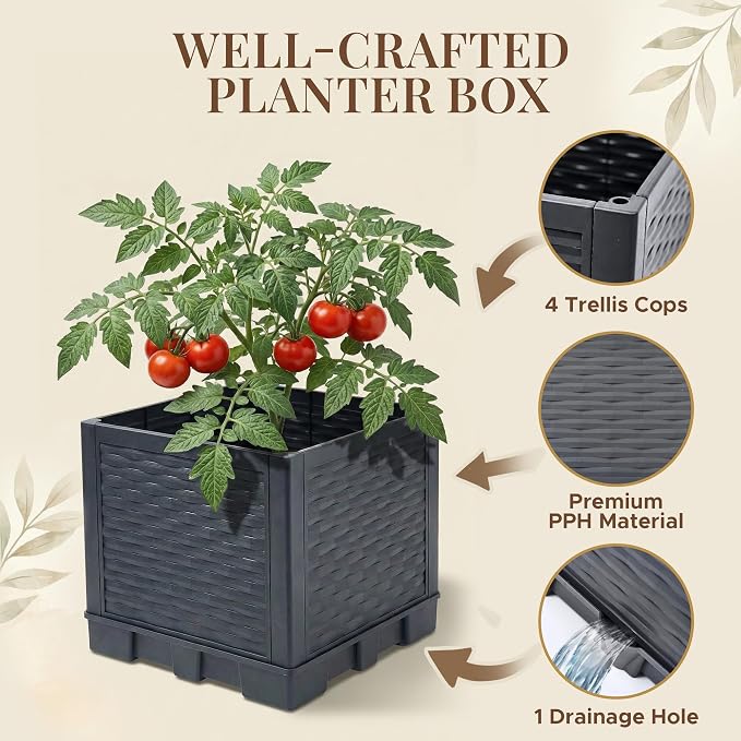 2 Pack Tomato Planter with Trellis 56 Inch, Self Watering Planter Box with Trellis, Vertical Raised Garden Bed Planter for Climbing Vegetables Indoor Outdoor Patio
