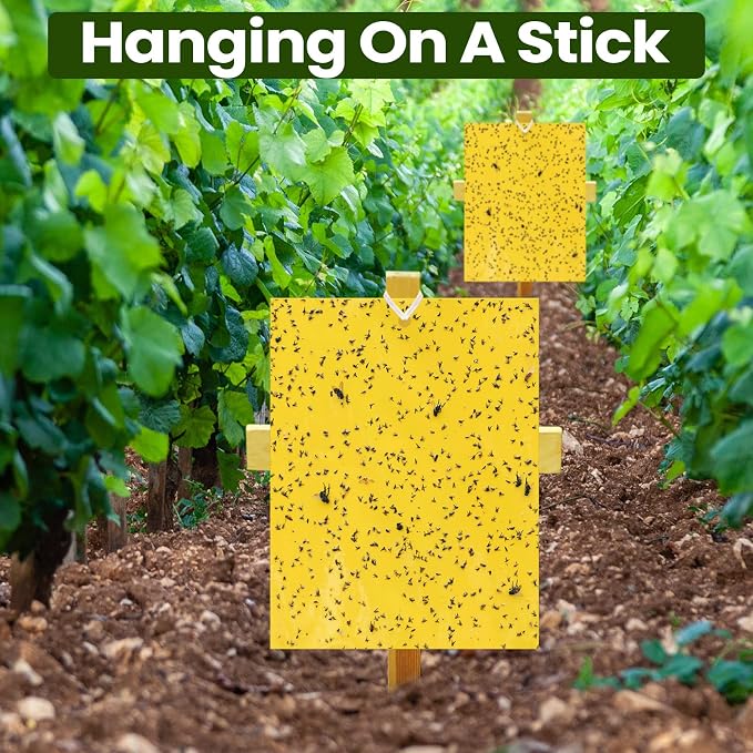 Qualirey 700 Pcs 6x8 Inch Yellow Sticky Traps for Gnats, Dual-Sided Sticky Gnat Traps for Indoor Outdoor, Fly Catcher for Fungus Gnats, Fruit Flies, Whiteflies– Bulk Pack with Twist Ties