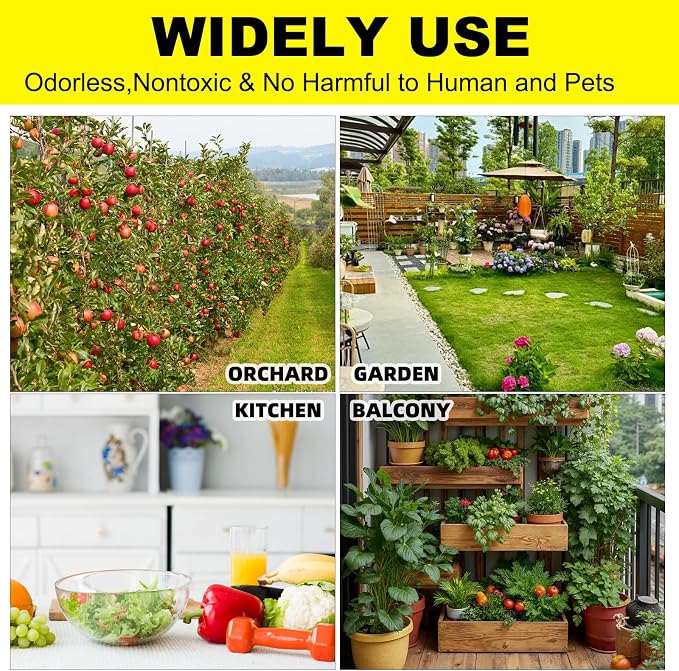 36PCS Fruit Fly Sticky Traps Fungus Gnat Traps Insect Trap for Plants Kitchen Indoor Outdoor White Flies Mosquitos Fungus Gnats Flying Insects Houseplant Gifts (Love Shape)