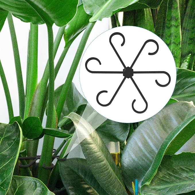 XIHIRCD 4pcs Plant Stem Support, Climbing Houseplant Leaf Support Ring Plant Climbers Stem Holders Plants Climbing Rack Plant Flower Gardening Growth Cultivation Accessories Tools(Black)