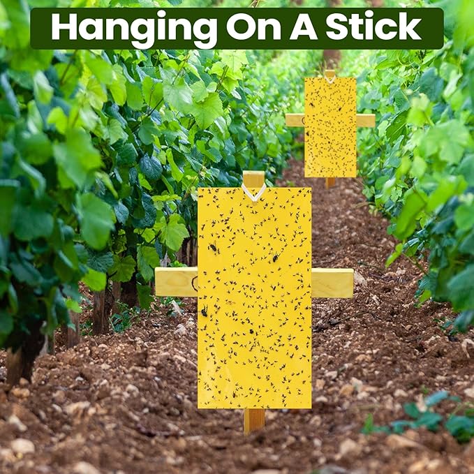 Qualirey 7.8 x 3.9 Inch Yellow Sticky Traps for Plant Double Sided Sticky Trap for Gnats with Twist Ties Fly Traps for Fruit Insect Fungus Bugs Indoor Outdoor (150 Pcs)