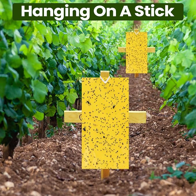 Qualirey 100 Pcs 11.8 x 7.8 Inch Extra Large Yellow Sticky Traps for Gnats Double Sided Sticky Trap for Plant Whiteflies, Aphids, and Black Flies with Twist Ties,Indoor and Outdoor