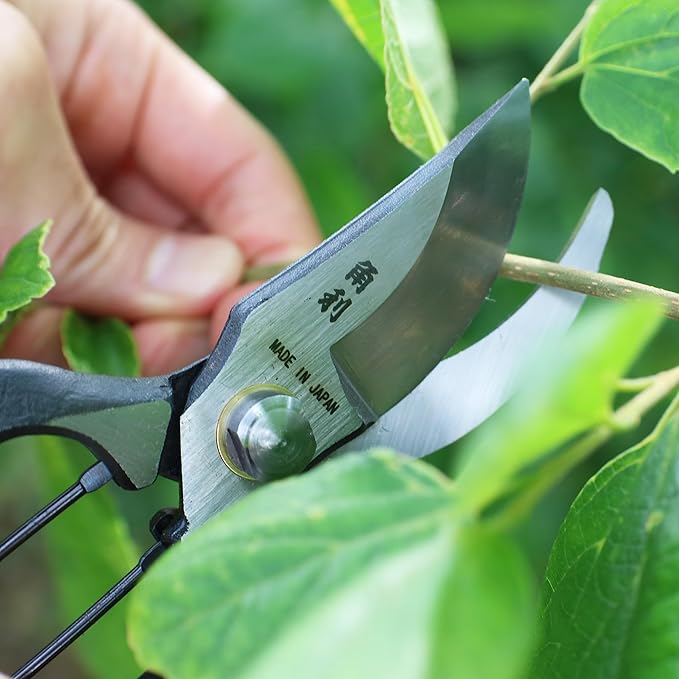 KAKURI Japanese Pruning Shears for Gardening Heavy Duty 8", Made in JAPAN, Professional Garden Bypass Pruners with Leather Sheath, Hand Forged Japanese Carbon Steel, Black
