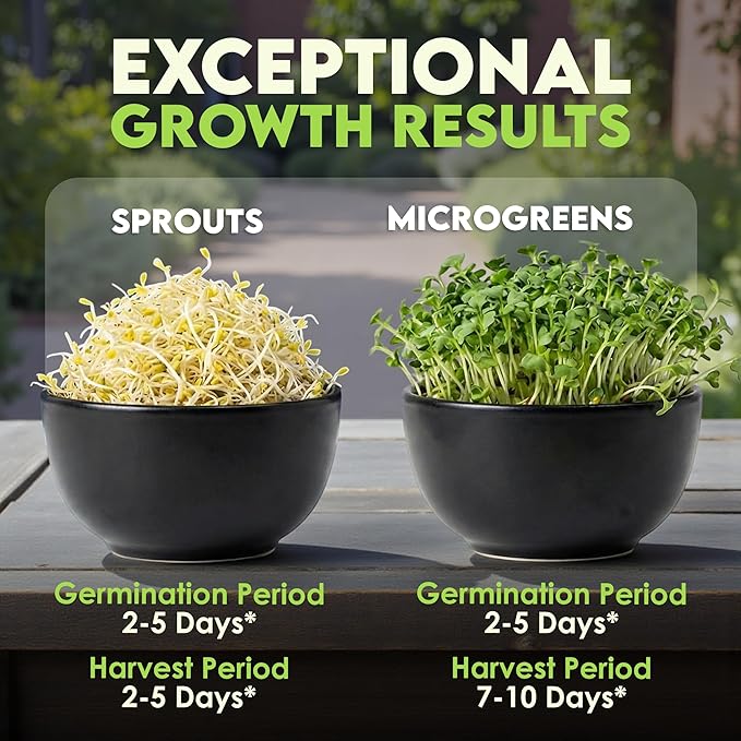 Nature Jims Sprouts Alfalfa Seeds – Non-GMO Organic Sprout for Growing & Planting – Premium Resealable Bag for Fresh Homegrown Sprouting Seeds – Rich in Nutrients, Vitamins, Fiber & Minerals – 16oz