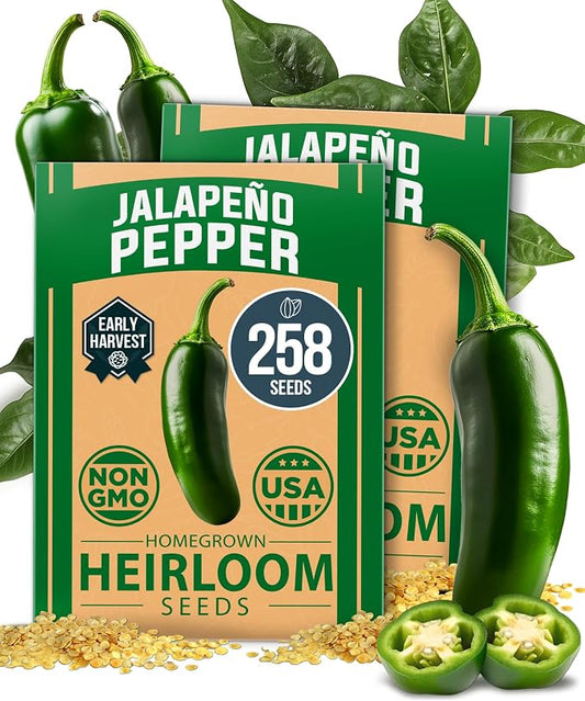 HOME GROWN Jalapeno Pepper Seeds 258+ Heirloom Non-GMO Seeds for Planting, High Germination, Mild to Medium Heat Hot Peppers, Heavy Producer, Perfect for Salsa & Pickling (Capsicum annuum)