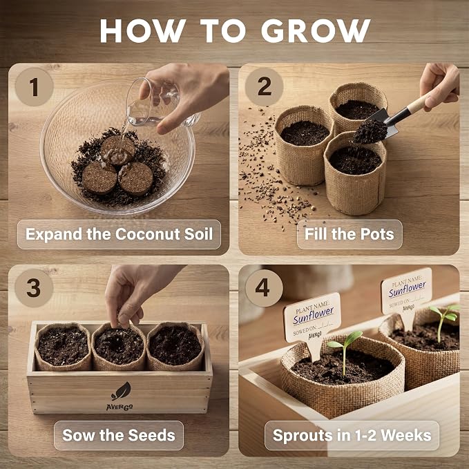 AVERGO Sunflower Seeds Growing Kit | Complete Seed and Plant Indoor & Outdoor Kit with Sunflower Seeds for Planting – Ideal for Planting Sun Flowers at Home
