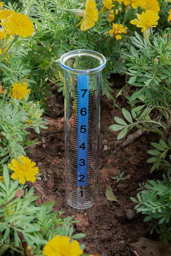 7" Capacity Rain Gauge Glass Replacement Tube with Lid Design for Yard Garden Outdoor Home (01)