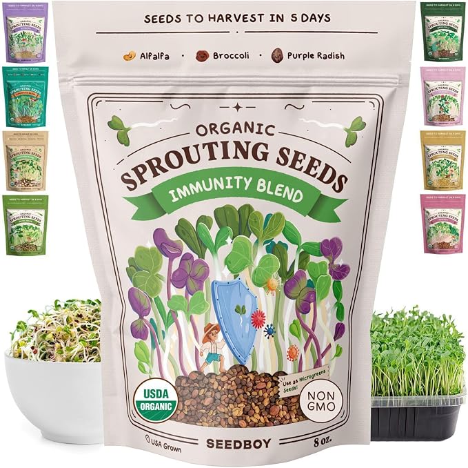 Seedboy Organic Non-GMO Sprouting Seeds, Immune System Booster - USA Grown Microgreens Mix with Broccoli, Purple Radish, Alfalfa - 8 oz Bag Makes 8 Quarts / 32 Servings (Immune System Booster Blend)