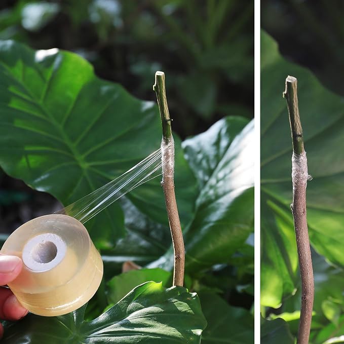 NAYE Grafting Tape for Fruit Trees,3 Pcs Stretchable Floristry Film,3 Color with Various Elasticity,Plants Repair Budding Tape