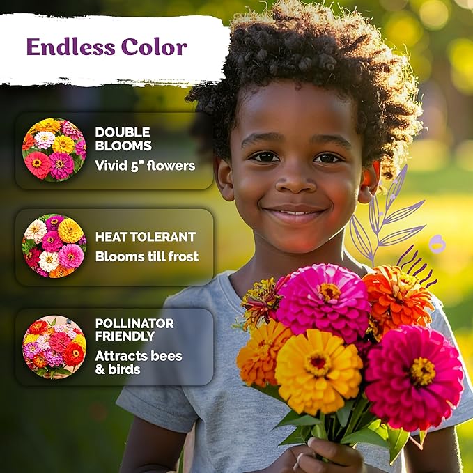 KVITER 550 Dahlia Zinnia Seeds for 2026 Mix (Zinnia Elegans) – Double Blooms, Non GMO & Heirloom – Flower Seeds for Planting Outdoors in Garden, Containers, Flower Beds. Ideal for Cut Flowers