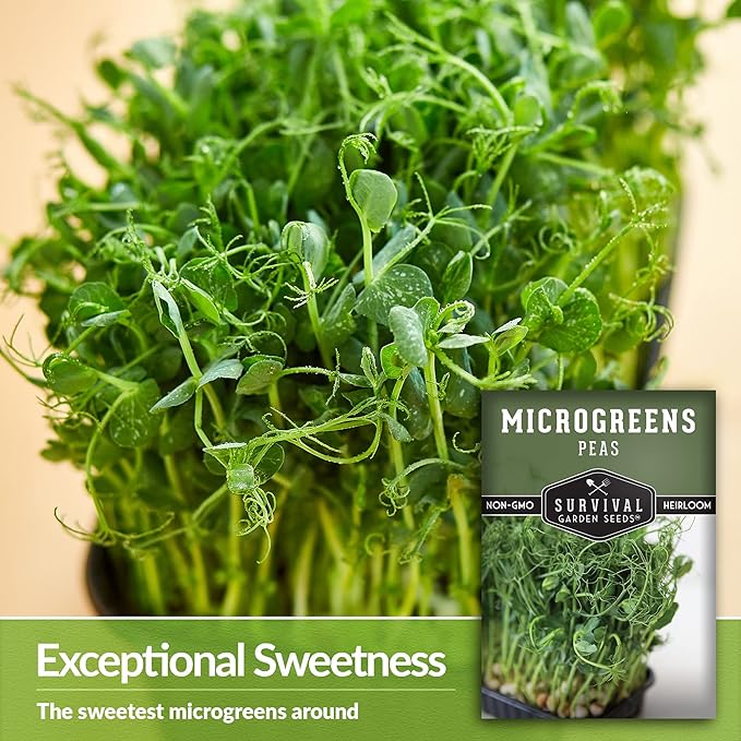 Pea Microgreens Seeds for Sprouting and Growing Indoors – Sweet, Tender Shoots for Windowsill or Countertop Gardens – Grow Your Own Mini Greens – Non-GMO Heirloom – Survival Garden Seeds (1 Pack)