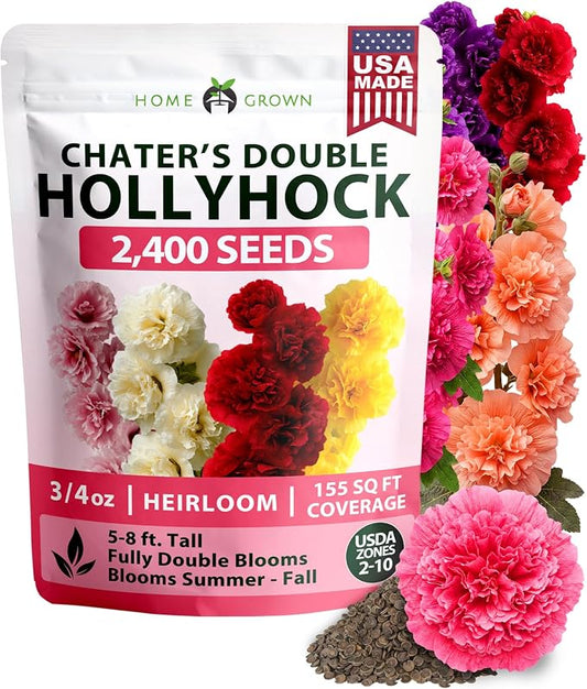 HOME GROWN Hollyhock Chaters Double Mix 2400 Seeds – Holly Hocks Seeds for Planting Spring 2026, Double Flower Hollyhock Seeds, Flower Seeds Perennial Outdoor Garden (Alcea rosea)