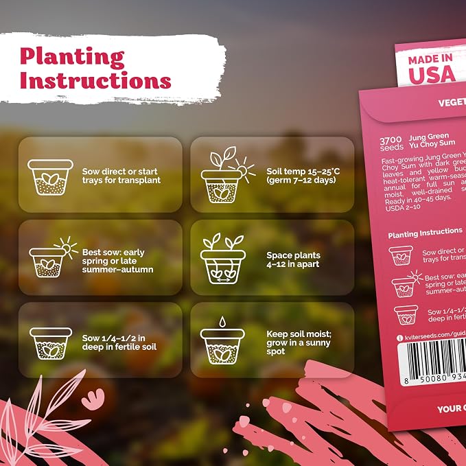 KVITER 3700 Jung Green Yu Choy Sum Seeds (Brassica Rapa VAR Parachinesis) - Chinese Flowering Cabbage, Fast Growing, Heirloom, Non GMO Seed Packets - Vegetable Seeds for Outdoor Garden, Raised Beds