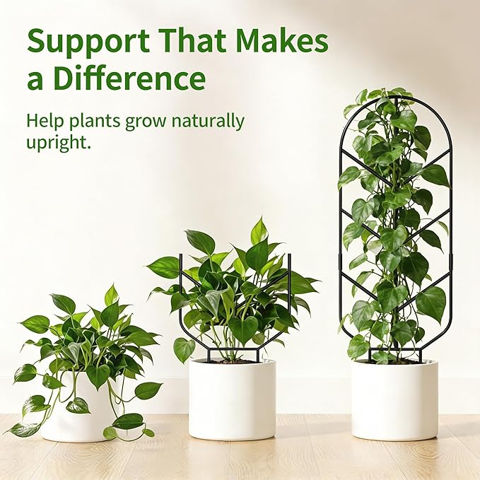 2 Pack 30'' Large Metal Plant Trellis for Climbing Plants, Tall Plant Support for Indoor & Outdoor Use, Modern Decorative Trellis for Potted Plants (2 Pack)