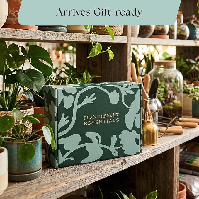 Rosy Soil Plant Parent Essentials Gift Box - Indoor Plant Kit & Gardening Tool Kit | Peat-Free Houseplant Soil, Terracotta Watering Bulb, Soil Scoop, Plant Brush - Gift for Father's Day, Plant Lovers