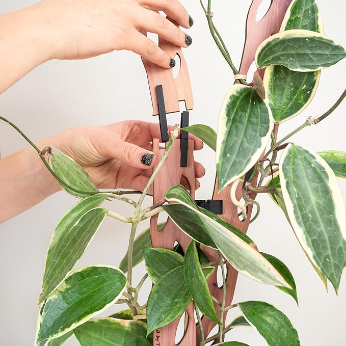 Treleaf Zella Grande Extension Kit - Wooden Extendable Plant Trellis (2 Extensions) for Indoor Climbing Houseplants - Modular Plant Support