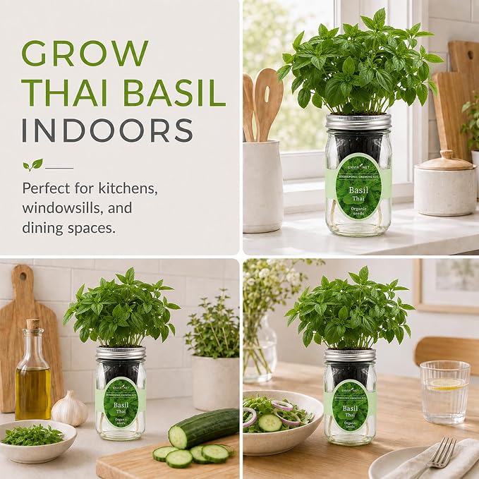 Hydroponic Herb Growing Kit, Self-Watering Mason Jar Herb Garden Starter Kit Indoor, Windowsill Herbs Garden, Grow Your Own Herbs from Organic Seeds (Thai Basil)