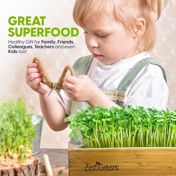 Self Watering Microgreens Growing Kit. Hands Down the Easiest Way to Grow Microgreens. Includes Tray, Seeds, Mats, and Bamboo Surround. Great Gift for Gardeners