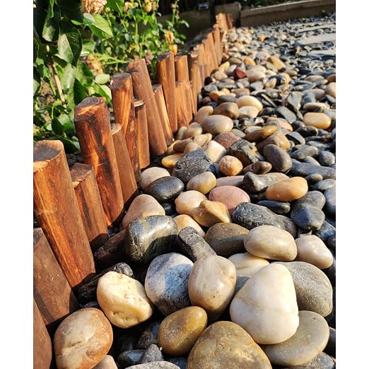 FANTIAN 10 lbs Stones for Plants, 1-2 inch Polished Pebbles for Indoor Plants, Decorative River Rocks for Plants Vase Aquarium and Outdoor Garden Landscaping Rocks