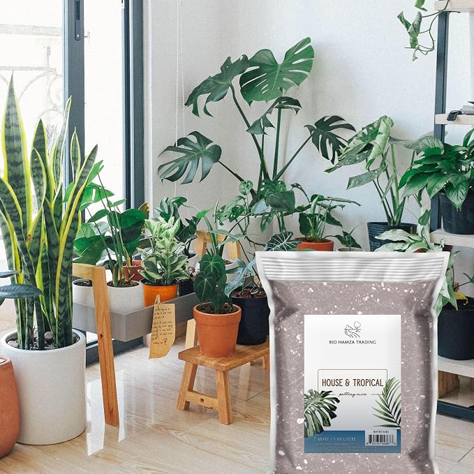 Rio Hamza Trading Tropical House Plant Potting Mix (2 Quarts); for All Types of Indoor House Plants