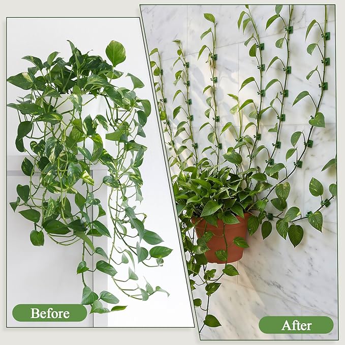 120 Pcs Plant Climbing Wall Fixture Clips, Green Plant Fixer with Self-Adhesive Hook, Fixing Clip Vines Holder for Indoor Outdoor Plants Support Cable Wire (Small, Medium, Large)