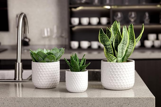 Docrin Plant Pots Indoor with Drainage: 6.4+5.3+4 Inch Ceramic Flower Pots for Plants - Set of 3 Modern Decorative Planters for House/Office/Gift - White Honeycomb