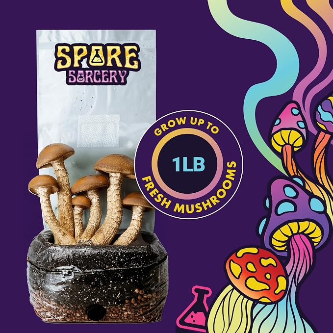 SPORE SORCERY 2 LB All-in-One Grow Bag: Up to 16oz of Mushrooms! Nutrient-Enhanced, Injection Port, Just Add Your Own Spores & Grow Like Magic