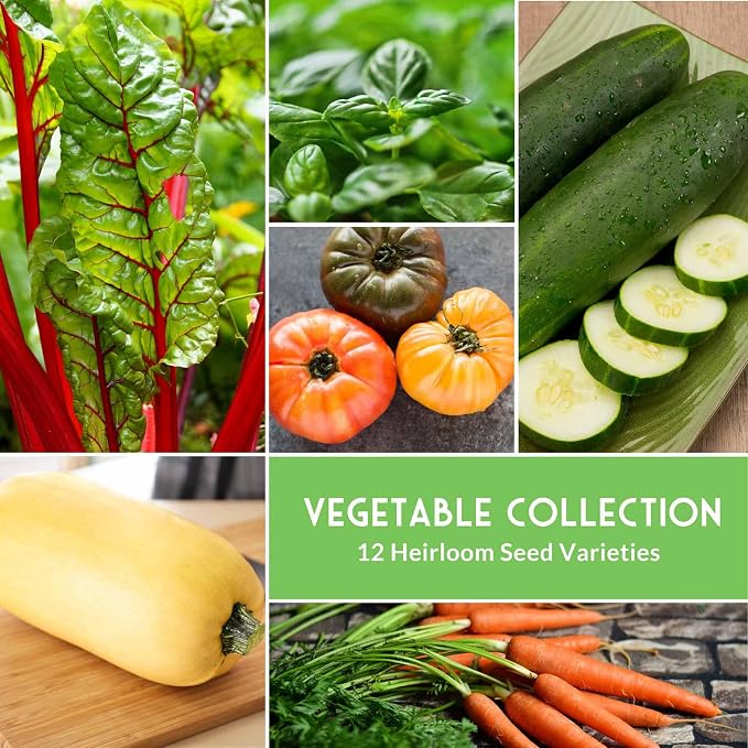 12 Vegetable Seed Variety Pack for Planting - Heirloom Broccoli, Carrot, Basil, Lettuce, Onion, Pepper, Swiss Chard, Tomato, Cucumber, Spinach, Zucchini, Spaghetti Squash - Survival Garden Seeds