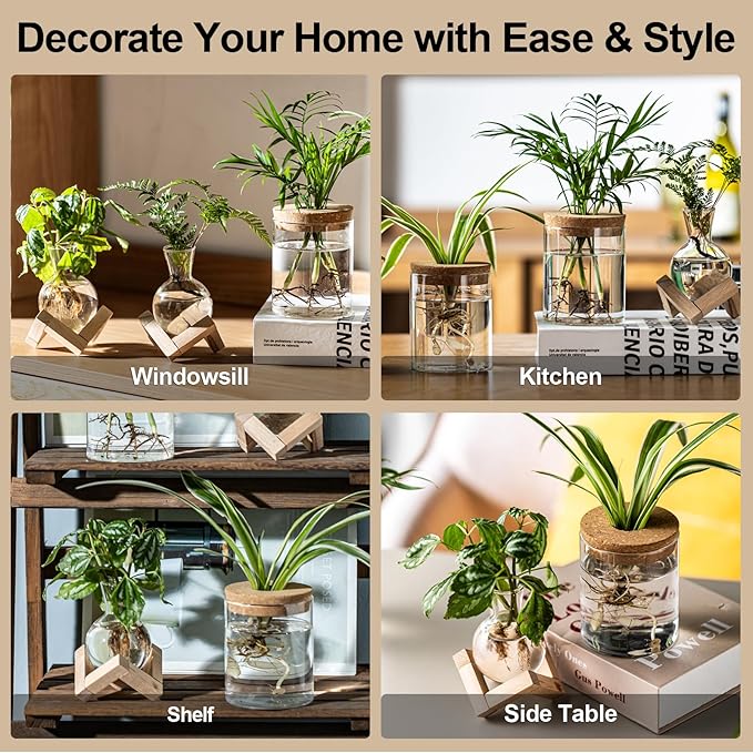 Plant Propagation Station, 2 Style Glass Planter Terrarium Set for Hydroponic Plants | Home Office Tabletop Decor, Gardening Gifts for Women, Mom, Plant Lovers (12)