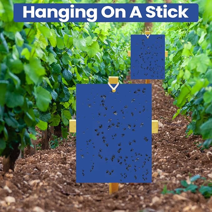Qualirey 250 Pcs 6x8 Inch Blue Sticky Traps for Thrips Double Sided Sticky Trap for Gnats Plant,Pest Control for Fungus Gnats, Thrips, Whiteflies – Bulk Pack with Twist Ties