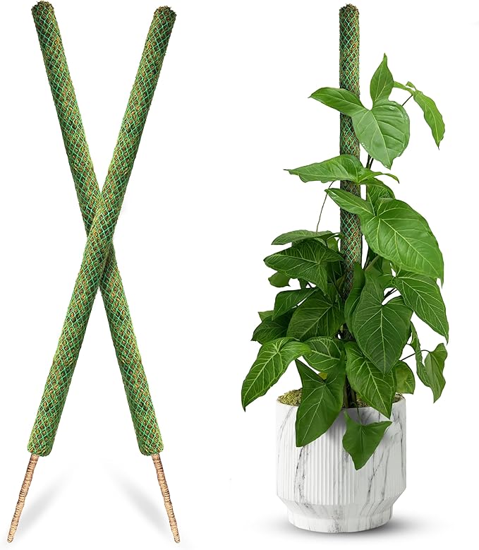 DUSPRO 2 Pack 42’’ Mesh Moss Pole for Climbing Plants, Natural Moss Pole Monstera Plant Support, Real Moss Poles for Plants Indoor, Moss Stick for House Plants, Moss Stakes for Climbing Plants