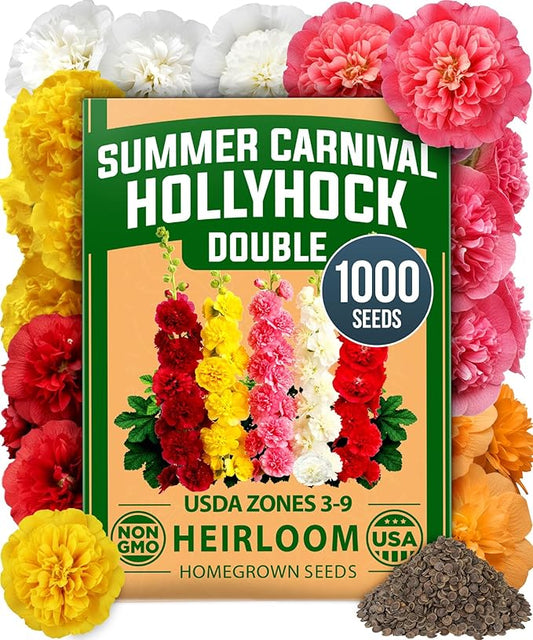 HOME GROWN Hollyhock Summer Carnival Mix Flower Seeds – Alcea Rosea, Premium Annual Flower Seeds, 1000 Seeds for Planting Flowers, High-Germination Flower Seed Bulk Pack