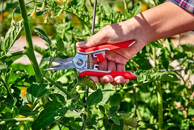 Corona Tools FS43624 Yard Essentials Mini Floral Snips, Variety Pack of 12