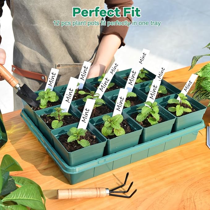 June Fox 60 Small Nursery Pots for Plants, 5 Seed Starter Tray Kit, 3.3 Inch Plastic Seedling Pots with Seedling Starter Trays, 60 Plant Tags (Green)
