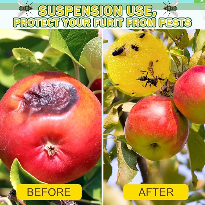 Qualirey 10 Set Fruit Fly Sticky Trap Balls Fungus Gnat Killer Bug Catcher Gnat Trap Insect Traps Indoor Outdoor Plant Fly Sticky Traps Ball for Fungus Plants(Yellow)