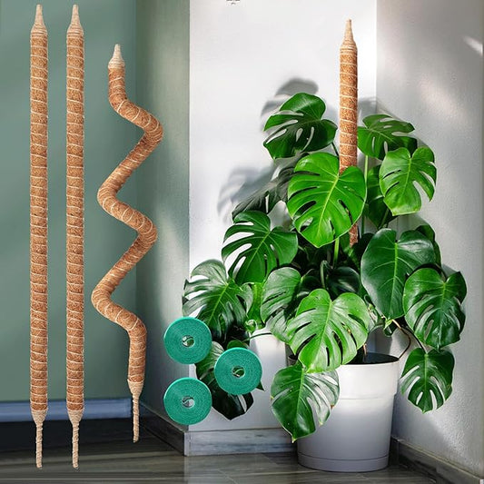 3-Pack 48in Moss Poles for Monstera, Plant Supports for Indoor Plants, Pothos Vines, Philodendron, Fishbone Cactus & Indoor Tropical Houseplants, Made for Coco Coir