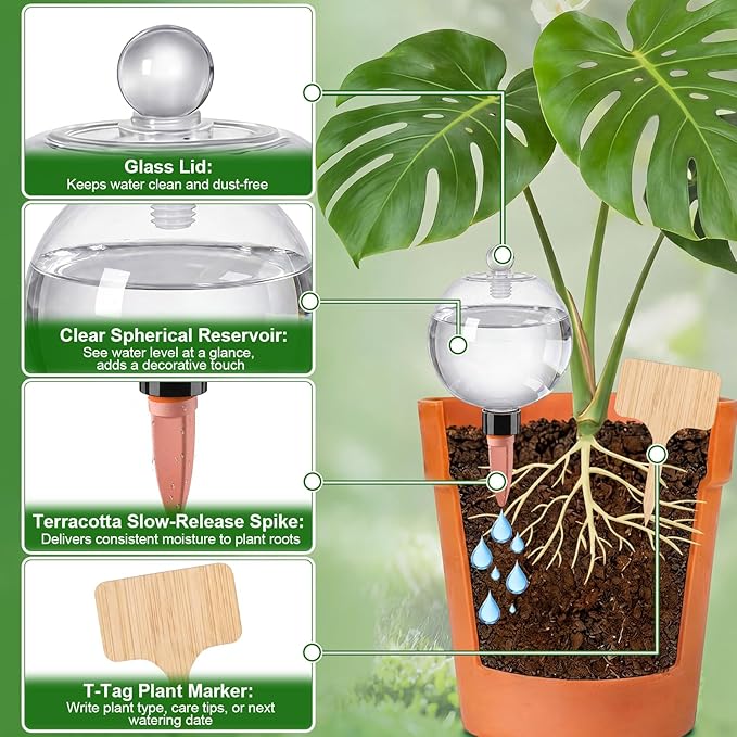 Zhehao 6 Pack Self Watering Globes with Plant Labels, 17 oz Top Fill Self Water Planter Insert Slow Release Automatic Water Bulbs Plastic Plant Watering Devices System with Terracotta Spike Stakes