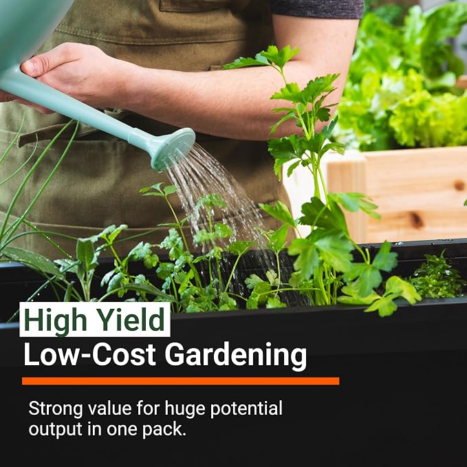 Open Seed Vault | 4,000 Heirloom Seeds | 12 Variety Pack of Herb Seeds | 2026 Season | Non GMO Vegetable and Fruit Seeds | Planting Outdoor & Indoor Garden | Gardening Starter Kit High Yield Produce