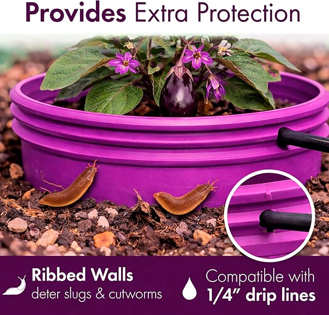 7 inch solid Planting Grow Rings | 24 Pack Purple | One-Piece Design for Deep Root Watering Veggies, Herbs & Flowers | Mulch & Soil Barrier | Deter Slugs and Cutworms | Heavy Duty | Made in USA